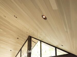 893 - Revêtement de plafond intérieur