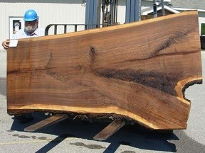 Planche de bois brut extra large pour table